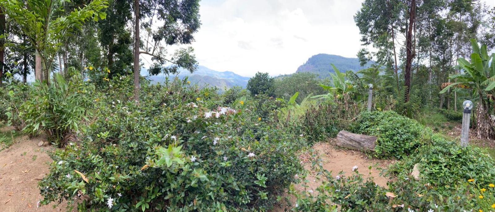 Saveen View Appartement
